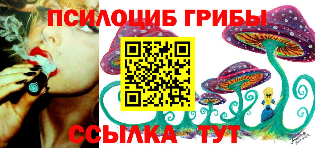 Великий Устюг  хочу наркоту  Вход с VPN  Галлюциногенные грибы Psilocybe 